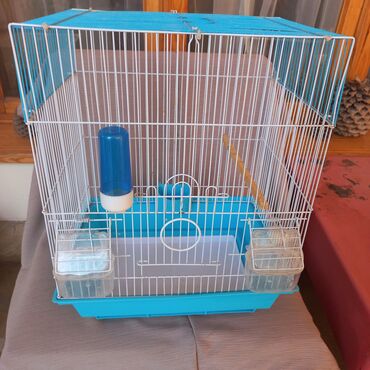 будка для маленькой собаки: Клетки для птиц