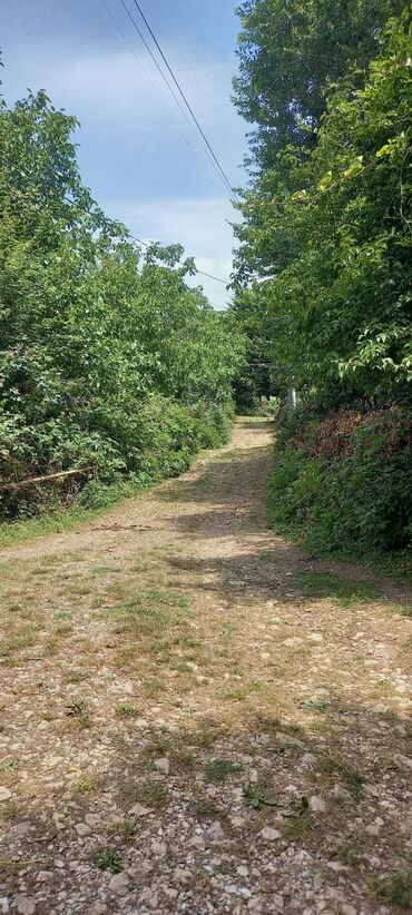 Torpaq sahələrinin satışı: 12 sot, Mülkiyyətçi, Kupça (Çıxarış) — 12