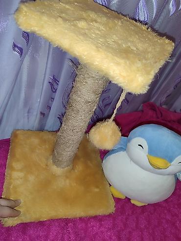 toy pudil: Pişik üçün tirma və oyun stanoku - Material: sisal iplə bərkidilmiş — 5
