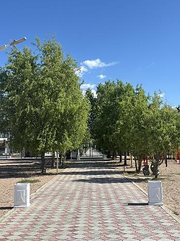 Аренда коттеджей и домов на Иссык-Куле: Коттедж, Париж, Чок-Тал, 7 мест — 19