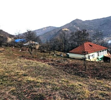 qara qarayevde satilan 3 otaqli evler: 10 sot, Biznes üçün, Mülkiyyətçi, Kupça (Çıxarış)