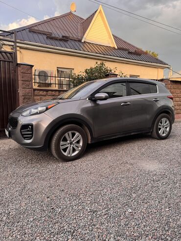 Kia: Kia Sportage: 2019 г., 2.4 л, Автомат, Бензин, Кроссовер