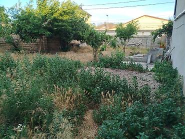 Torpaq: 4 sot, Tikinti, Mülkiyyətçi, Kupça (Çıxarış) — 3