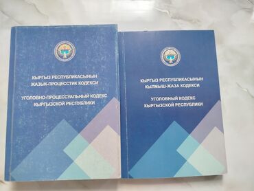 кровать для лежачих больных отдам даром: Набор из двух кодексов Кыргызской Республики: Уголовно-процессуальный
