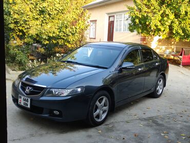 honda domani: Honda Accord: 2003 г., 2.4 л, Автомат, Бензин, Седан