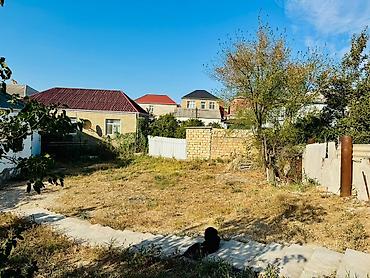 4 sot, Tikinti, Barter mümkündür