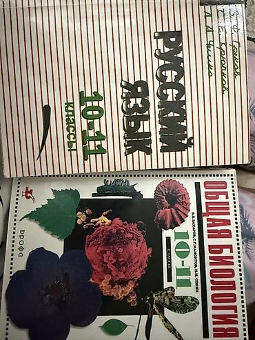Книги и журналы: Школьные учебники для 5–11 классов (разные предметы) Подборка — 1