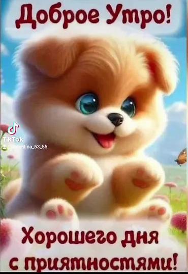 Сдаю в аренду гараж: Сдаю гараж для машины можно большой в 10 мкр. можно под м отоцикл — 13