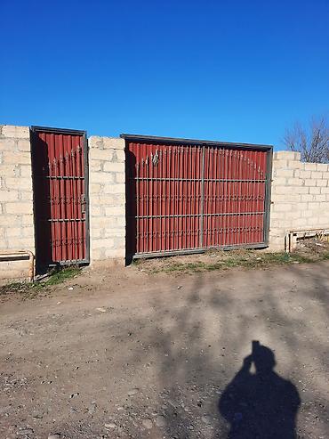 gen: 10 sot, Tikinti, Mülkiyyətçi, Kupça (Çıxarış) — 1