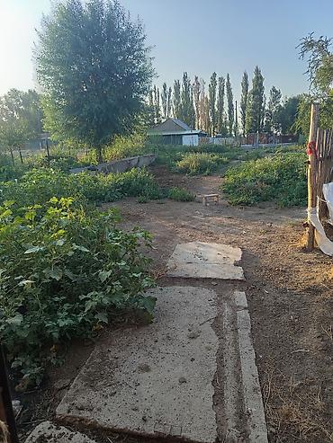 Коммерческая недвижимость: Сельскохозяйственная постройка с выгоном и участком - Капитальный — 1