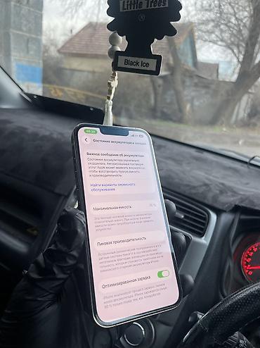 Apple iPhone: IPhone 13 Pro, Б/у, 128 ГБ, Rose Gold, Чехол, Защитное стекло, 76 % — 9