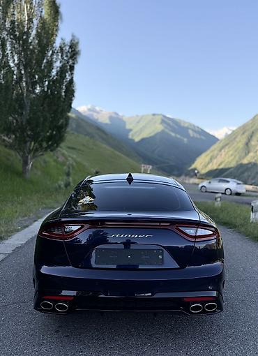 Kia: Kia Stinger: 2019 г., 2 л, Автомат, Бензин, Седан — 5