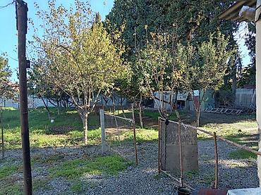 bakida ucuz kiraye heyet evleri: Daşdan tikili geniş həyətli yaşayış evi - Memarlıq: Təbii daş fasad — 4