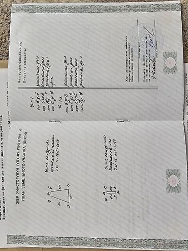 Жер тилкелерди ижарага берүү: 200 соток, Айыл чарба үчүн — 5