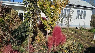 Продажа коттеджей и домов: Дом с участком и садом с.Байгелди - Жилой одноэтажный дом с белым — 2