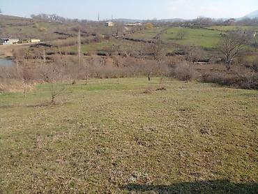 kiraye yolu ile satilan evler: 30 sot, Kənd təsərrüfatı, Mülkiyyətçi — 3