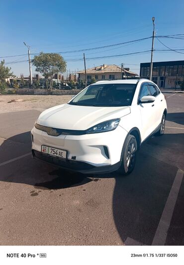 Weltmeister: Weltmeister EX5, 2021 г., 74478 км — 4