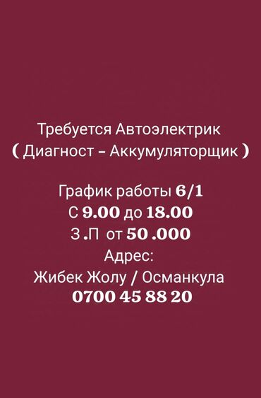 реализатор дордой рынок: Талап кылынат Унаа электриги, Төлөм Күн сайын, Айлык+Пайыз, 1-2-жылдык тажрыйба, Расмий жумушка орноштуруу