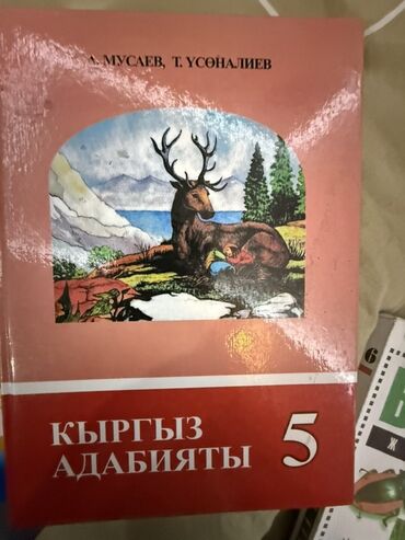 купить лыжи бишкек: Кыргыз адабияты, 5-класс, Колдонулган, Өзү алып кетүү