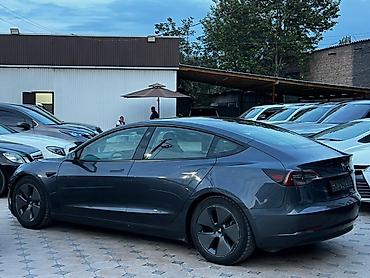 Tesla: Tesla Model 3: 2023 г., Автомат, Электромобиль, Седан — 5