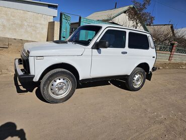 audi 100 машина: ВАЗ (ЛАДА) 4x4 Нива: 2005 г., 1.7 л, Механика, Бензин, Внедорожник