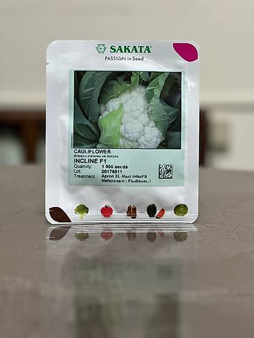 Другие овощные культуры: Семена овощных культур SAKATA (профессиональная серия, фасовка по 1000 — 17