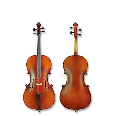 violin: Aileen CG106 4/4 ( 4 de 4 Violonçel Violancel Violoncel ) — 2