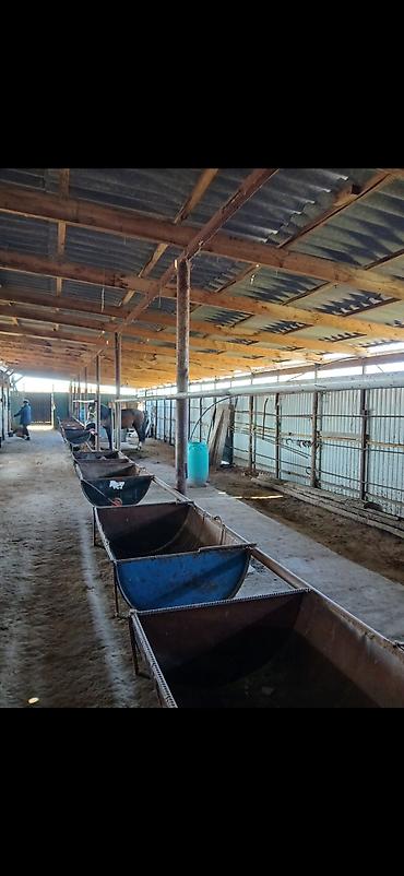 Продажа участков: 115 соток, Для бизнеса, Тех паспорт, Договор купли-продажи — 4