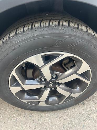 Kia: Kia Sportage: 2019 г., 2 л, Автомат, Дизель, Кроссовер — 8