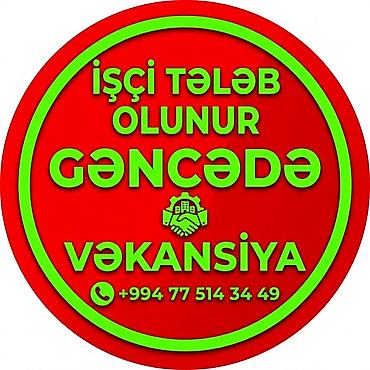 goycayda is elanlari 2025: Vakansiya – Gəncə şəhərində işçi axtarılır — 1
