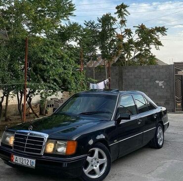 Mercedes-Benz: Mercedes-Benz 260: 1989 г., 2.6 л, Механика, Бензин, Седан