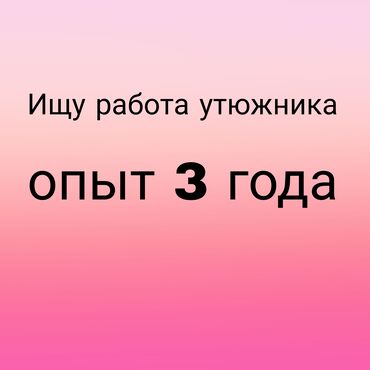 ищу работы в бишкеке: Утюжник