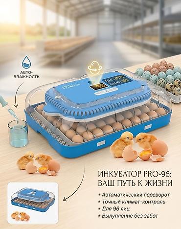 Инкубатор PRO-96 — цифровой инкубатор для домашней и фермерской at lalafo.kg Инкубатор PRO-96 — цифровой инкубатор для домашней и фермерской