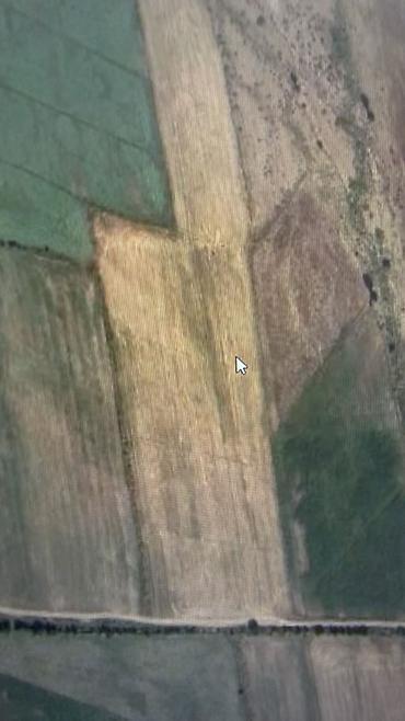 алтын ордо ж м: 200 соток, Айыл чарба үчүн, Сатып алуу-сатуу келишими — 1
