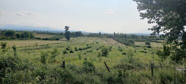 Anbar və emalatxanalar: Ünvan: Qusar şəhəri Ləyər kəndi (ləzgi ləyər) 1hk 68 sot bağ yeri — 11