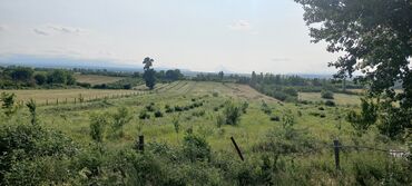 Torpaq sahələrinin satışı: Kənd təsərrüfatı — 27