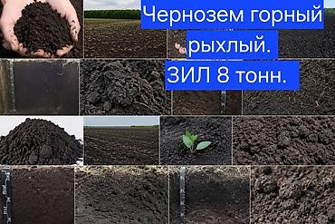 от сорняков: Чернозём горный рыхлый плодородный .Зил 8 тонн без сорняков — 1