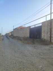 Bağ və bostan üçün digər məhsullar: Qobuda arkodan 1km metir məsafədə asvaltdan 20 metir içəridir 8 — 12