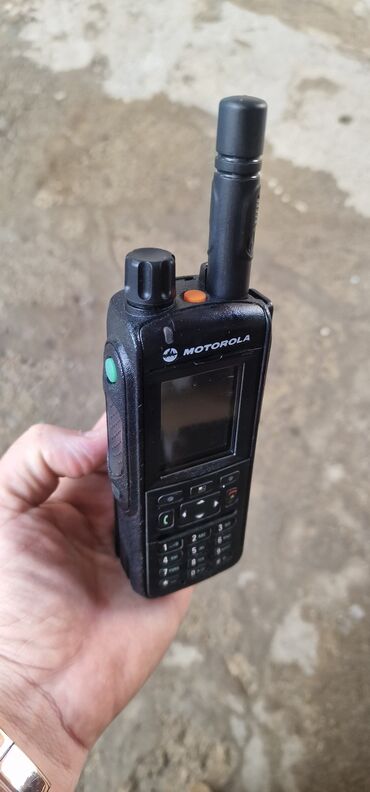 Mobil telefonlar üçün digər aksesuarlar: Motorola aksesuarları dəsti Tərkib: - Şəbəkə adapteri (orijinal — 9