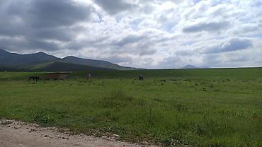 Продажа участков: 5 соток, Для строительства — 8