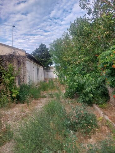 sumqayit 10 mkr: 10 sot, Tikinti, Makler, Kupça (Çıxarış)