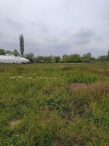 Həyət evləri və villaların satışı: 3 otaqlı, 250 kv. m, Orta təmir — 9