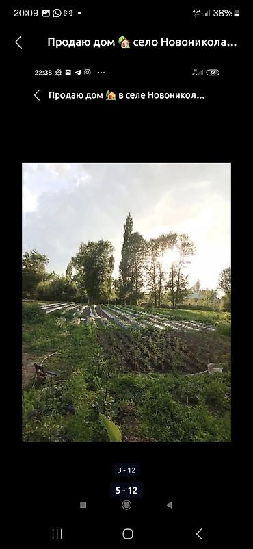 Продажа коттеджей и домов: Продаётся дом с участком в селе Новониколаевка. Описание участка: - — 2