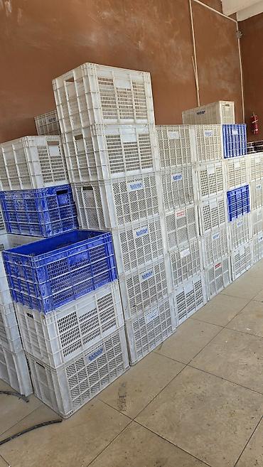 Пластиковые перфорированные пищевые ящики корзины для продукции