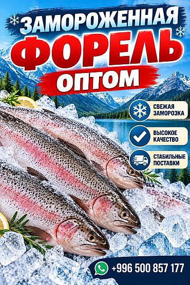 бак алабыз: Замороженная форель оптом — 1