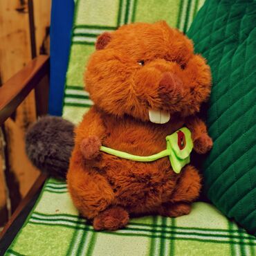 oyuncaq gitara: Qəhvəyi rəngdə, yumşaq və tüklü oyuncaq qunduz. Qunduzun ön hissəsində