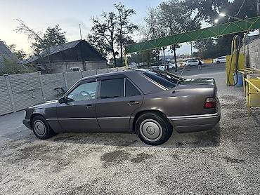 Унаа: Mercedes-Benz W124: 1993 г. — 3