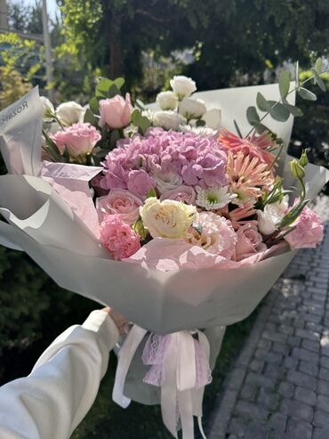 чика палочка: Продам цветы срочнополучила сегодня Свежие в отличном состоянии