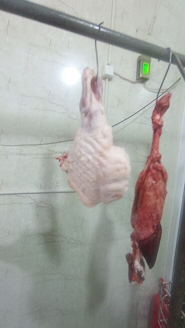 Ət: Təzə kəsilmiş təbii ət satılır. Müxtəlif hissələr mövcuddur — 8