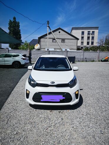 муравей такси: Kia Morning: 2018 г., 0.1 л, Автомат, Бензин, Хэтчбэк